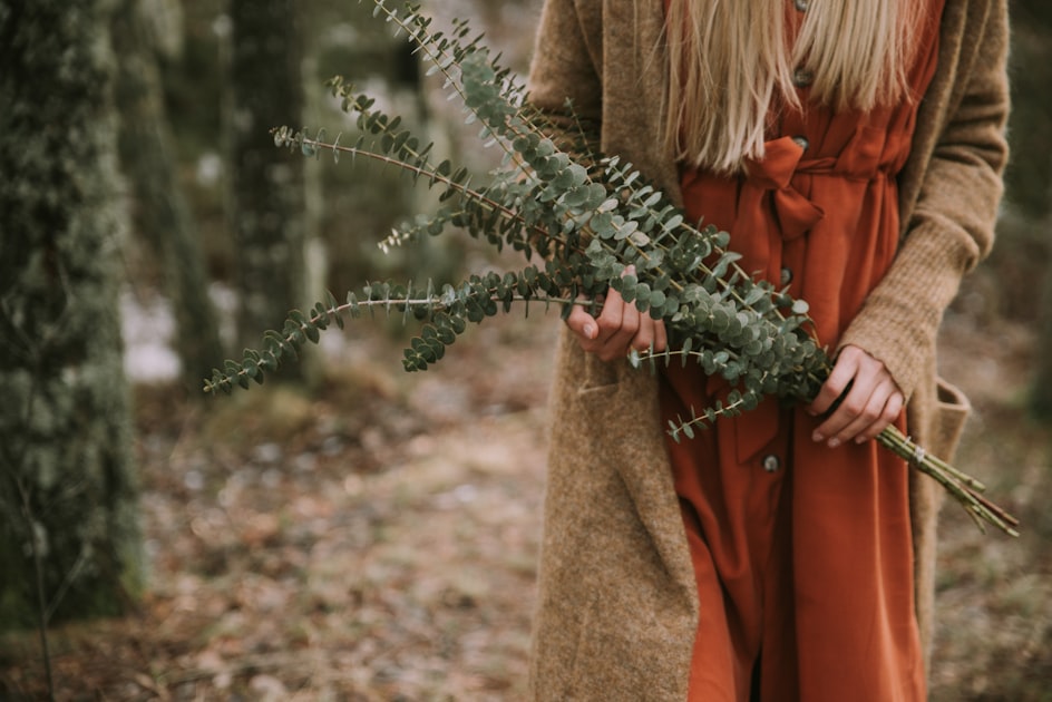 The Forest Archives Community